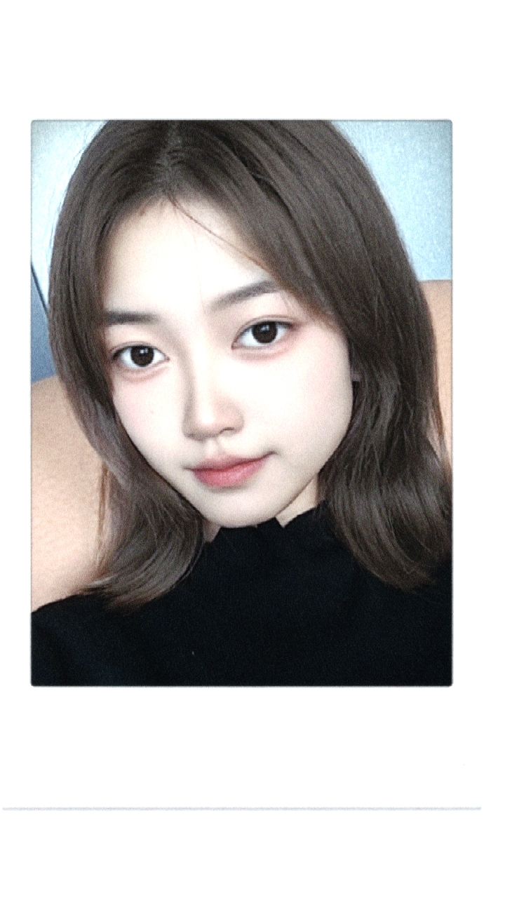 ������Ƭ